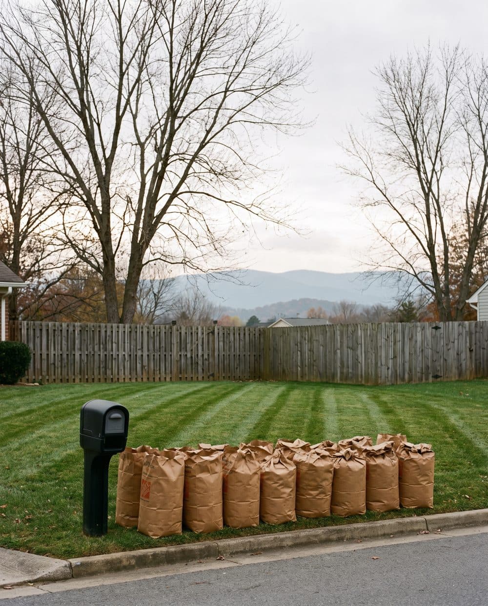 A cleared lawn with paper leaf bags lined at the curb in Roanoke County